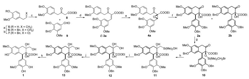 Scheme 2