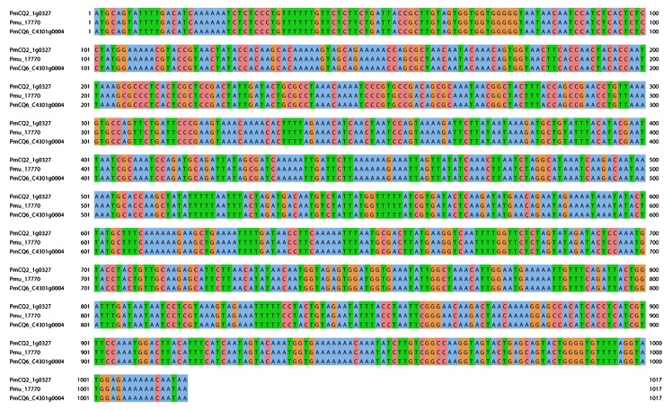 Figure 3.