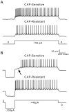 Fig. 6.