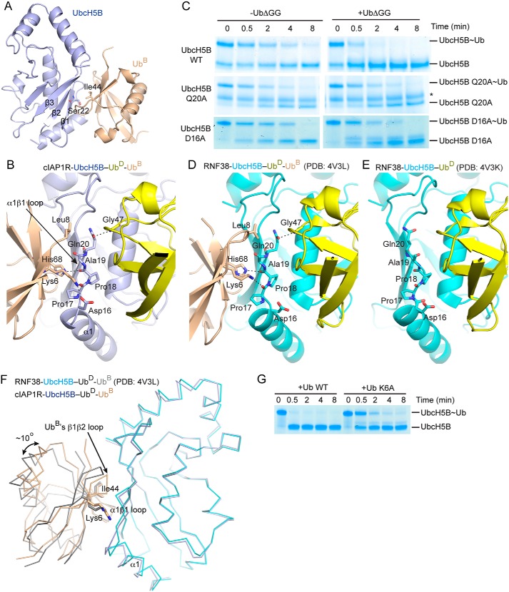 Figure 6.