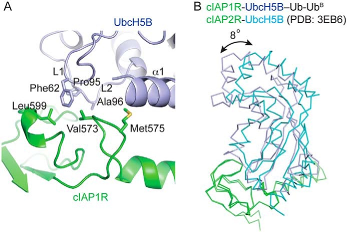 Figure 3.