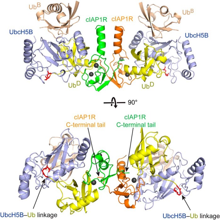 Figure 2.