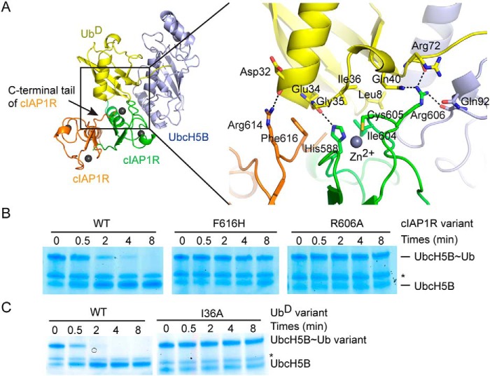 Figure 4.