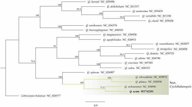 Figure 1.