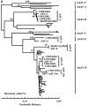 FIG. 4.