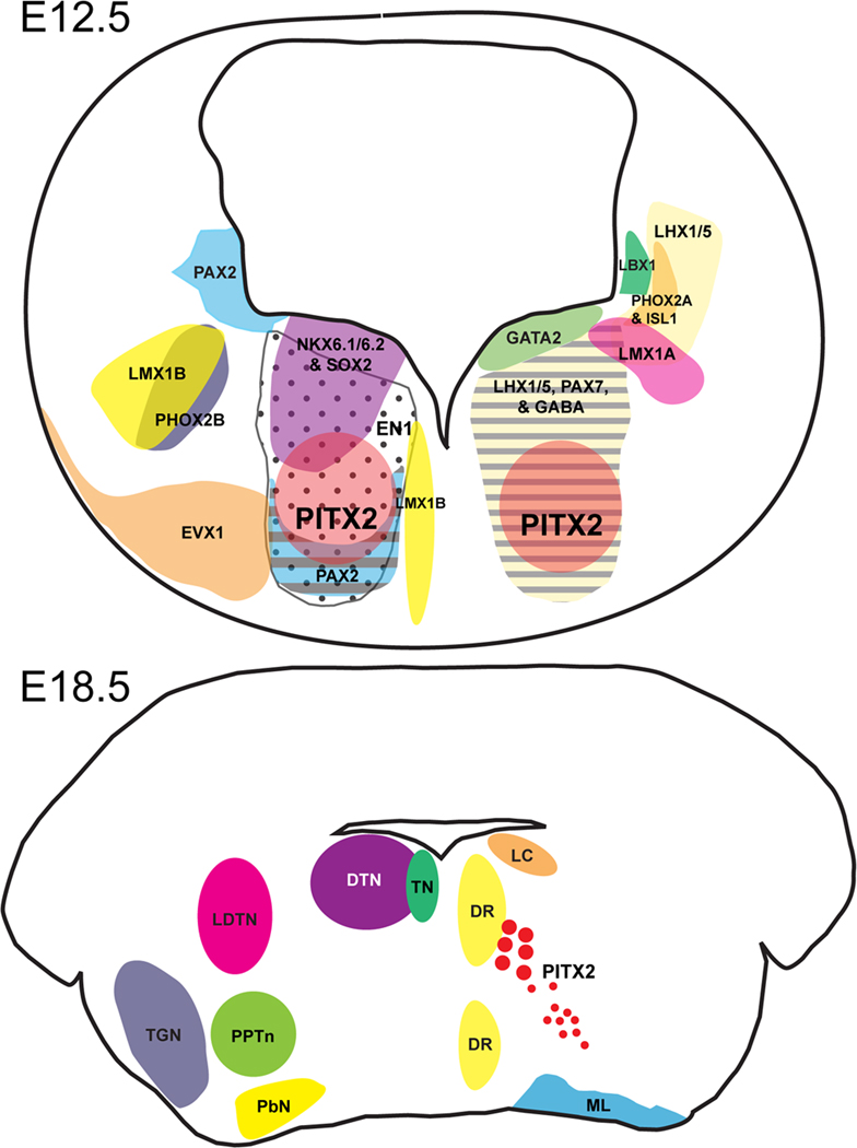 Figure 9