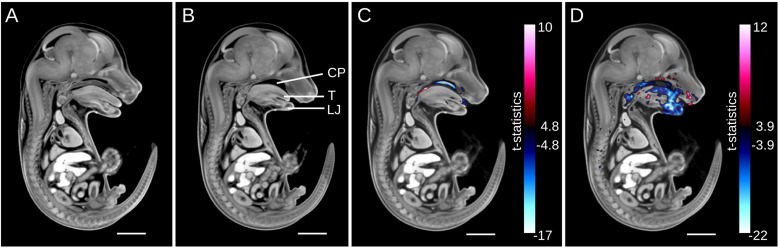 Fig. 6.