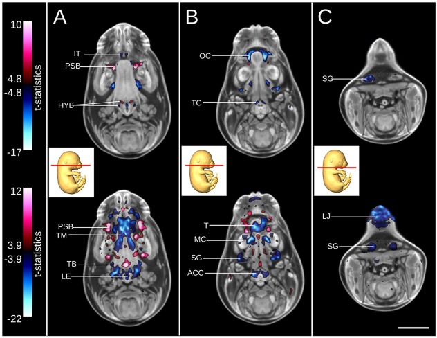 Fig. 7.