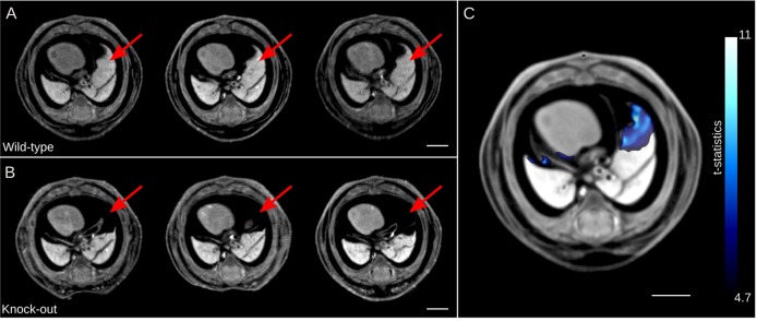 Fig. 3.