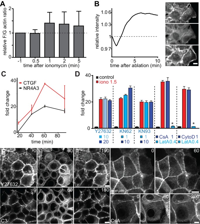 Figure 5—figure supplement 1.