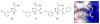 Figure 33