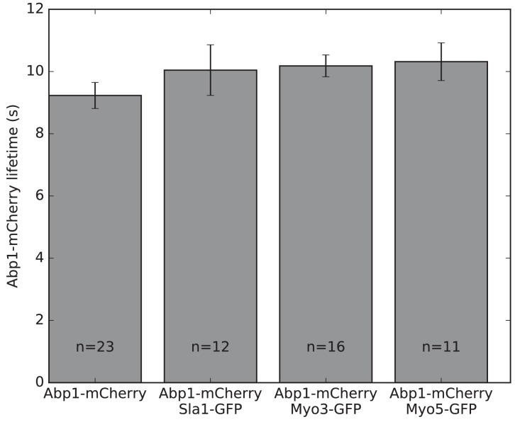 Figure 3—figure supplement 1.