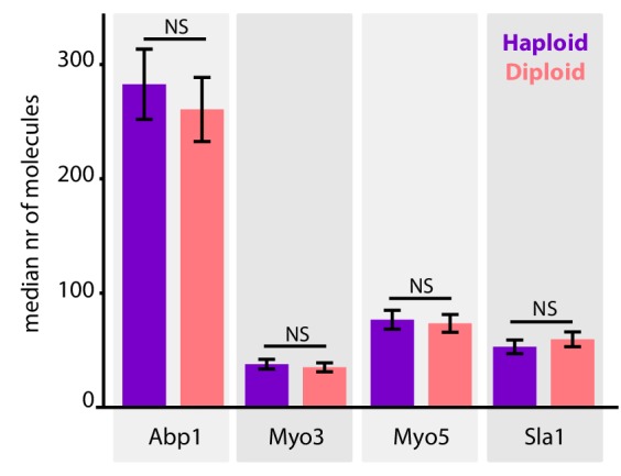 Figure 3—figure supplement 2.