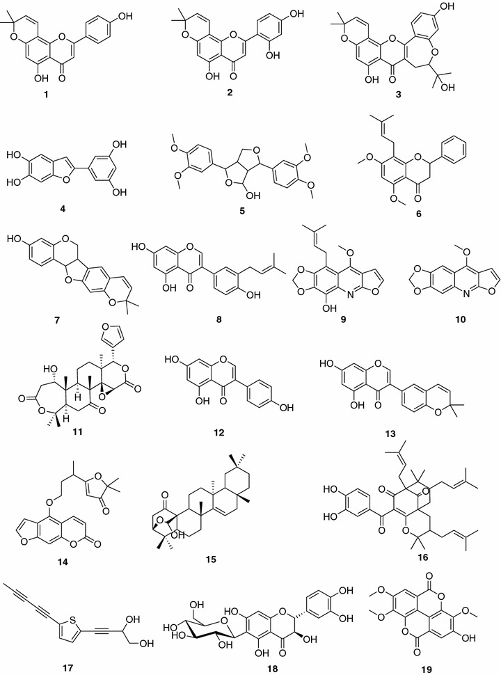 Fig. 1