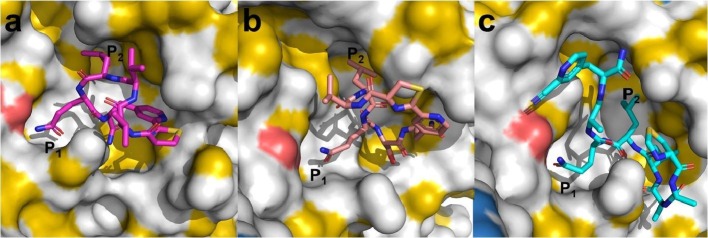 Fig. 1