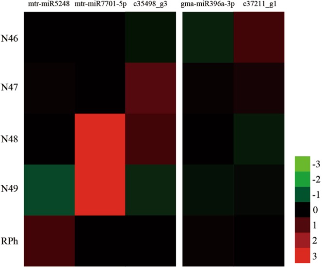 Figure 7