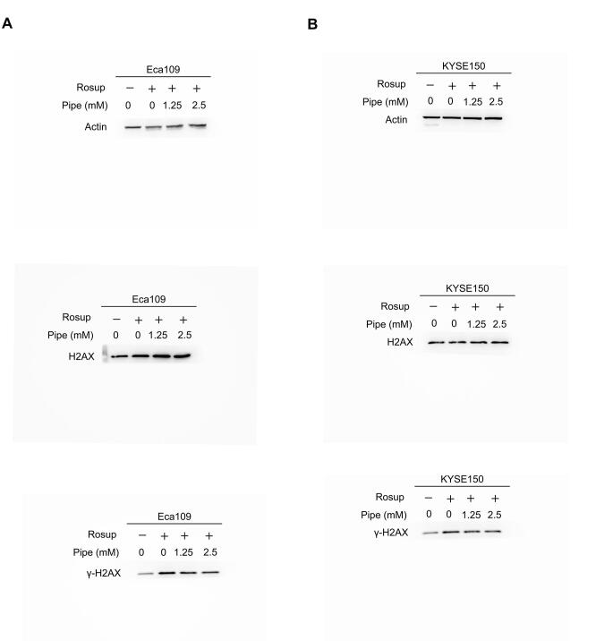 Supplementary figure S4