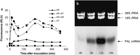 Fig. 1