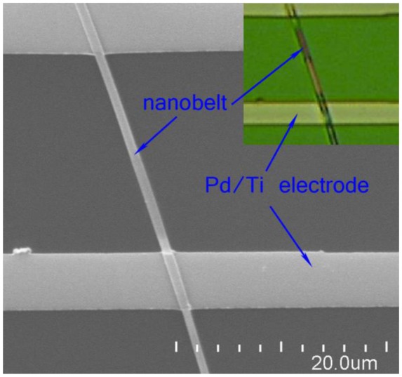 Figure 1.