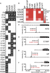 Figure 5