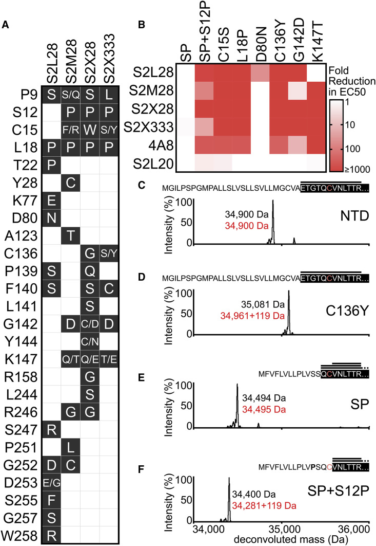 Figure 5