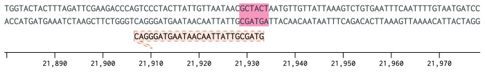 Figure 3. 