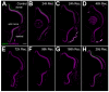 Figure 8