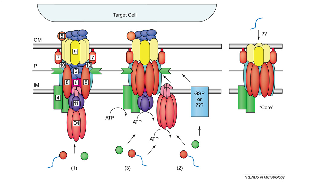 Figure 4