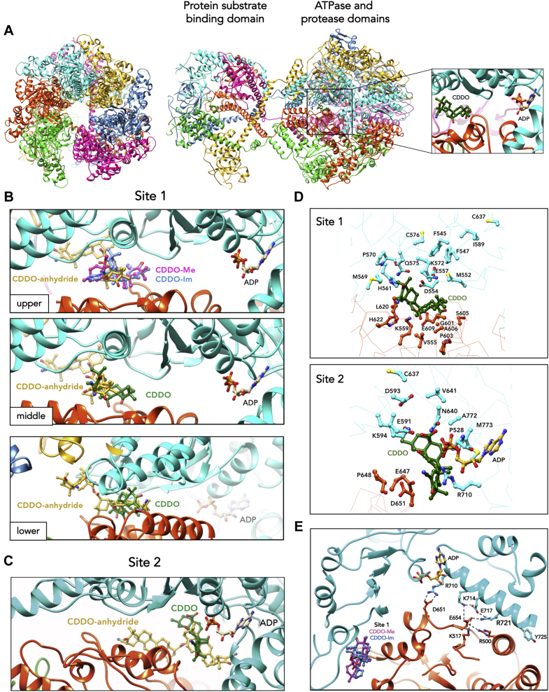 Figure 3