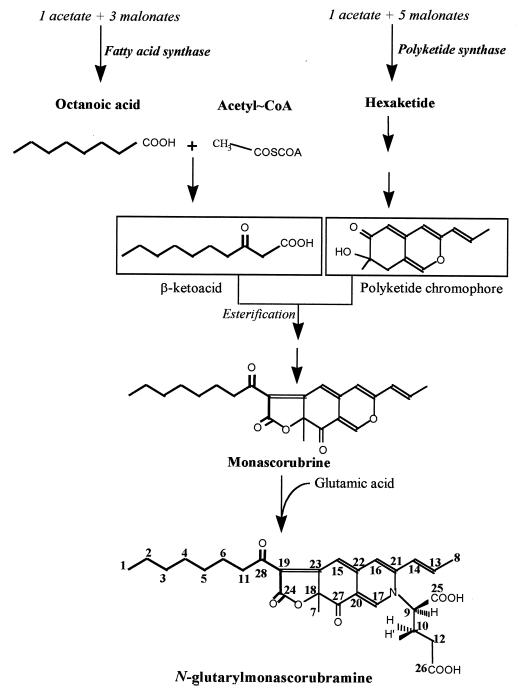 FIG. 1