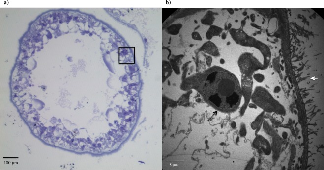 Fig 5