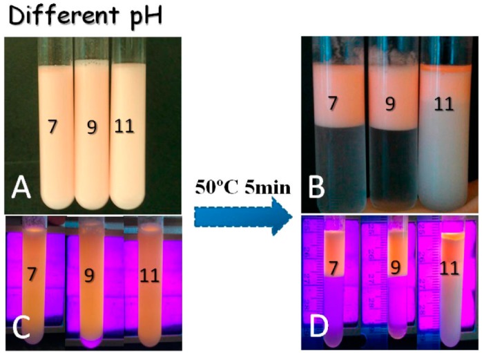 Figure 9