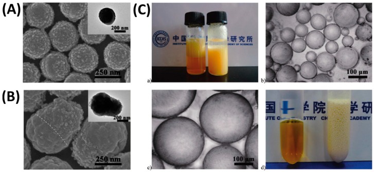 Figure 19