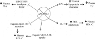 Fig.1
