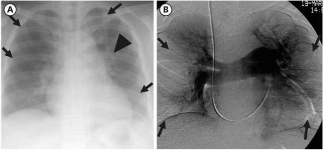 Fig. 8