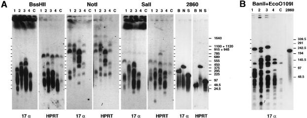 Figure  4