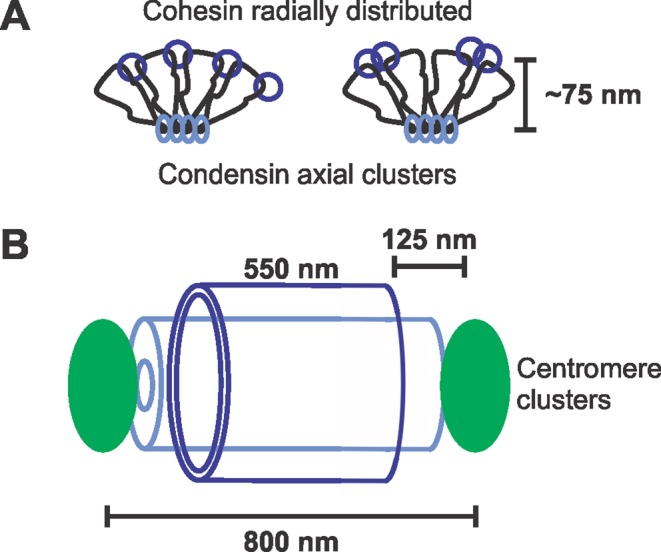 FIGURE 6: