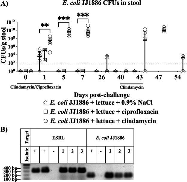 FIG 1