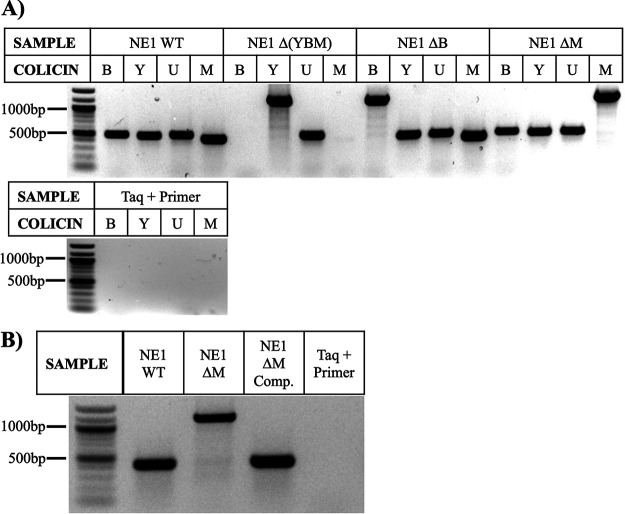 FIG 6