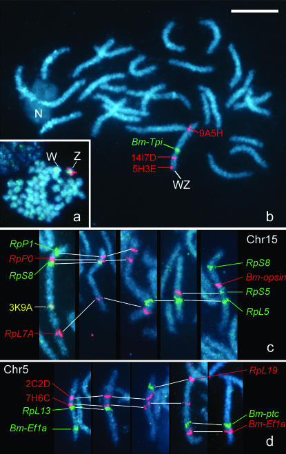 Figure 4.—