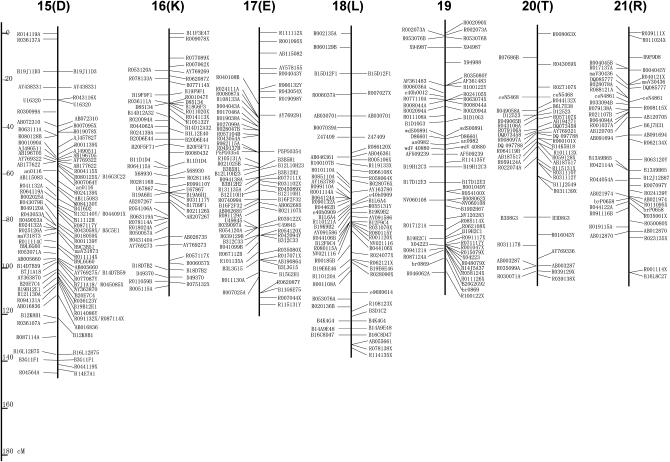 Figure 2.—