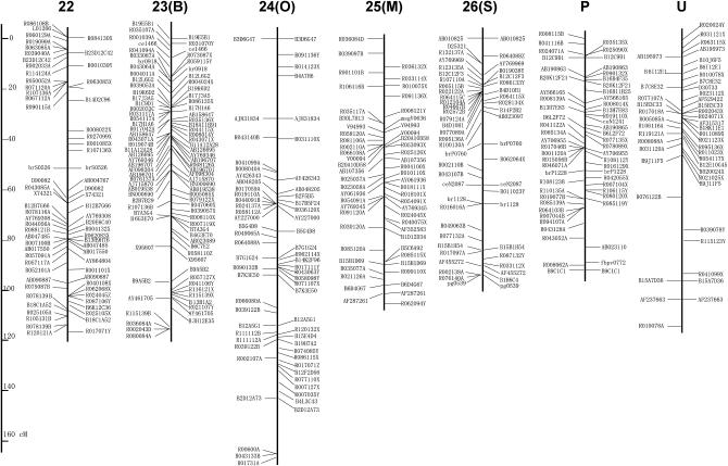 Figure 2.—