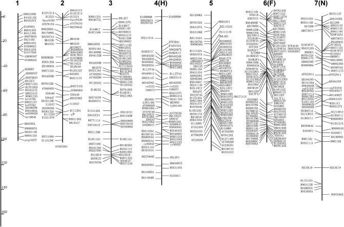 Figure 2.—