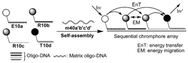 Figure 17