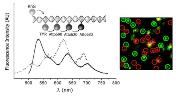 Figure 18