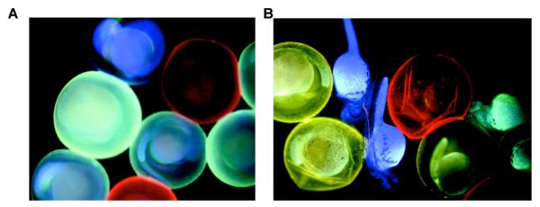 Figure 28