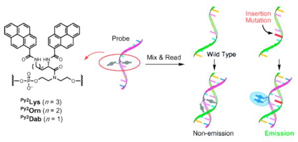 Figure 25