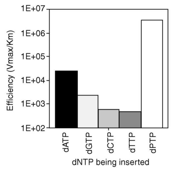 Figure 20