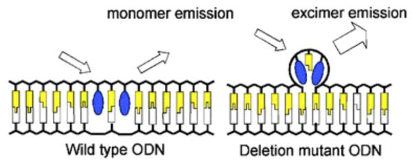 Figure 26