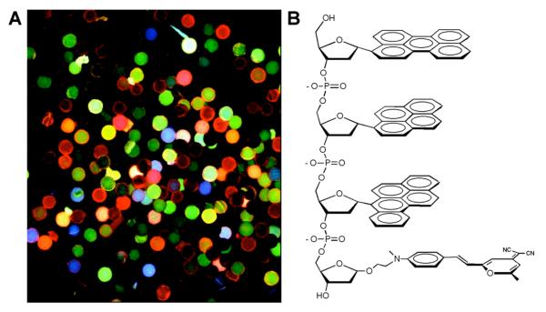 Figure 22